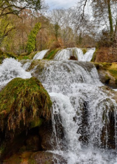 Obituaries - Honoring Lives, Preserving Memories Naples Funeral Home